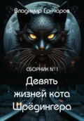 Девять жизней кота Шрёдингера - Владимир Гончаров