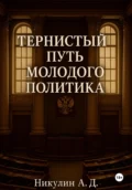 Тернистый путь молодого политика - Андрей Дмитриевич Никулин
