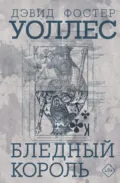 Бледный король - Дэвид Фостер Уоллес
