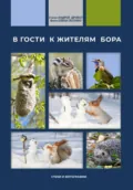 В гости к жителям бора - Андрей Викторович Дробот