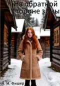 На обратной стороне зимы - Н. М. Фишер