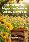 Пчеловодство: Мудрость Веков и Советы Мастеров - Война Владимирович Владимир