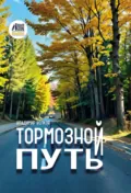 Тормозной путь - Владимир Волков