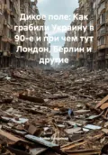 Дикое поле: Как грабили Украину в 90-е и при чем тут Лондон, Берлин и другие - Война Владимирович Владимир
