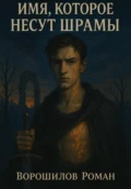 Имя, которое несут шрамы - Роман Николаевич Ворошилов