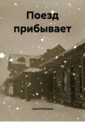 Поезд прибывает - Сергей Михайлович Матвеев