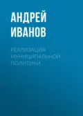 Реализация муниципальной политики - Андрей Иванов