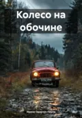 Колесо на обочине - Ирина Одарчук Паули