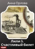 Лили. Дело 5. Счастливый билет - Анна Орлова