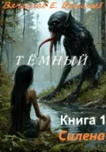 Тёмный. Книга 1 – Силена - Вячеслав Евгеньевич Васильев