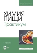 Химия пищи. Практикум. Учебное пособие для вузов - Василий Рогожин