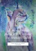 Путешествие рыськи в Долине Больших Льдов. Сказка-притча для больших и маленьких - Дарья Волкова