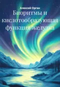 Биоритмы и кислотообразующая функция желудка - Алексей Николаевич Орган