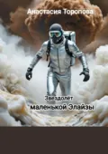 Звездолёт маленькой Элайзы - Анастасия Евгеньевна Торопова