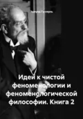 Идеи к чистой феноменологии и феноменологической философии. Книга 2 - Эдмунд Гуссерль