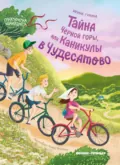 Тайна Черной горы, или Каникулы в Чудесатово - Ирина Гурина
