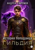 История Попаданца-2. Гильдия - Андрей Ефремов