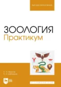 Зоология. Практикум. Учебное пособие для вузов - П. Н. Амосов