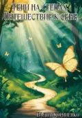 Тени на стенах. Путешествие к себе - Вадим Михайлович Корниенко