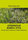 Открытая книга луга. Летняя фото-прогулка с Юрием Курским - Юрий Курский