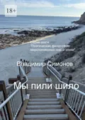 Мы пили шило. Серия: «Поэтическая философия миропонимания новой эпохи» - Владимир Симонов