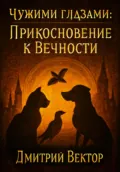 Чужими глазами: Прикосновение к Вечности - Дмитрий Вектор