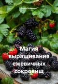 Магия выращивания ежевичных сокровищ - Война Владимирович Владимир