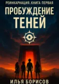 Реинкарнация. Книга Первая: Пробуждение Теней - Илья Дмитриевич Борисов