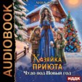 Хозяйка приюта. Чудо под Новый год