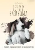 Гении разгрома. Сборник трагикомических рассказов о биглях - Олег Михайлович Панкратов