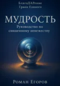 «Мудрость» - Роман Егоров