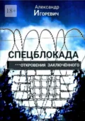 Спецблокада. Откровения заключённого - Александр Игоревич