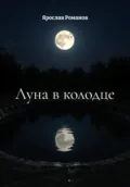 Луна в колодце - Ярослав Владимирович Романов