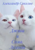 Джива и Сима. Легенда о Као-мани - Александр Соколов