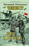 Чекист. Новое назначение - Евгений Шалашов
