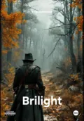 Brilight - Егор Витальевич Дмитриев