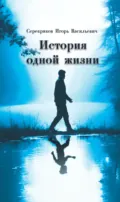 История одной жизни - Игорь Васильевич Серебряков