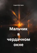 Мальчик в чердачном окне - Андрей Николаевич Дегтярев