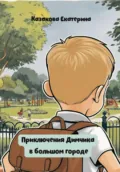 Приключения Димчика в большом городе - Екатерина Казакова