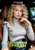 Обломки правды - Алексей Вениаминович Виноградов