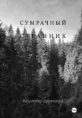 Сумрачный странник - Владимир Дружинин
