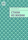 Стихи из жизни - Николай Петров
