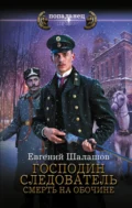 Господин следователь. Смерть на обочине - Евгений Шалашов
