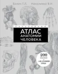 Популярный атлас анатомии человека. 200 классических иллюстраций из «Анатомии Грея» - Г. Л. Билич