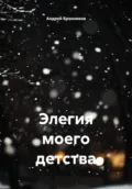 Элегия моего детства - Андрей Эдуардович Бронников