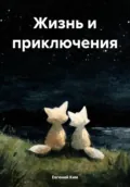 Жизнь и приключения - Евгений Михайлович Ким