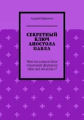 Секретный ключ Апостола Павла. Что на самом деле означает формула «Бог всё во всём» - Андрей Ефремов