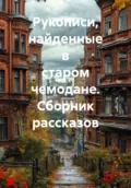 Рукописи, найденные в старом чемодане. Сборник рассказов - Андрей Борисович Федотов