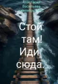 Стой там! Иди сюда - Анастасия Васильева