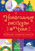 Новогодние рассказы о чуде. Соловей, который пел зимой - Наринэ Абгарян